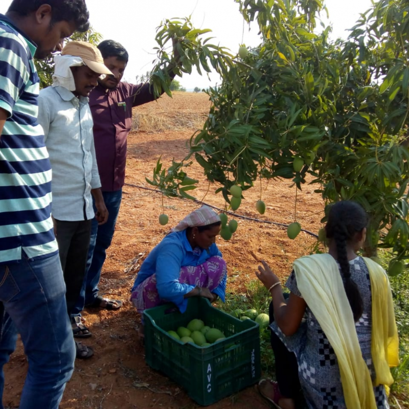 Centre for Collective Development